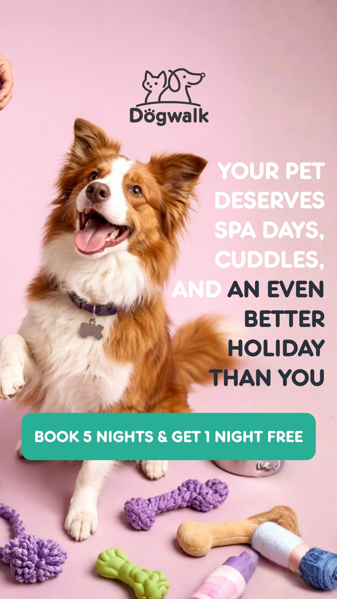 Dogwalk paid ad creative