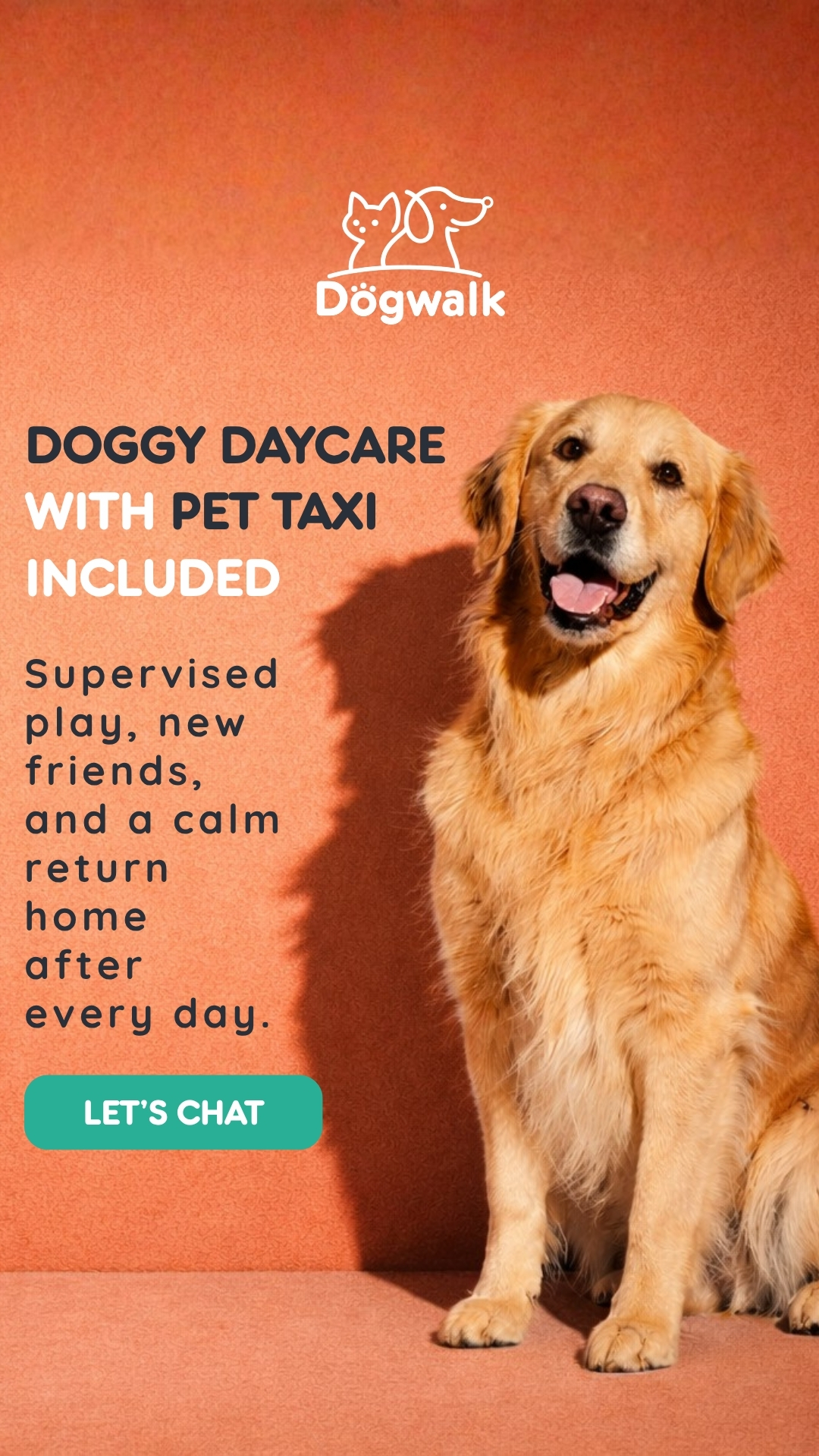 Dogwalk campaign creative
